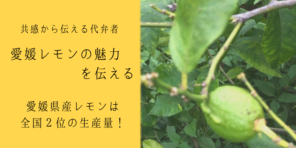 愛媛のレモンは生産量全国２位 愛媛のレモンに注目 共感 から伝える代弁者 はおいる